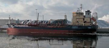 CLIPPER LEANDER